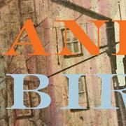 Andrew Bird Break It Yourself