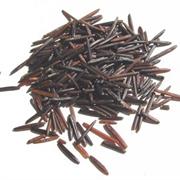 Wild Rice