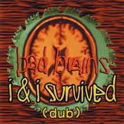I &amp; I Survived - Bad Brains