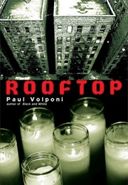 Rooftop (Paul Volponi)