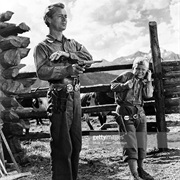 Brandon Dewilde (Shane)