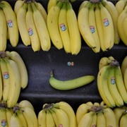Buy a Lonely Banana