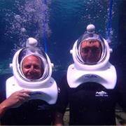 Seaventure Discovery Cove