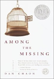 Among the Missing (Dan Chaon)