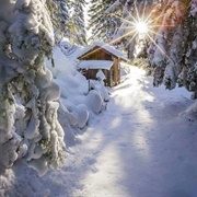 Experience - 40 Degrees Celsius