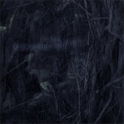 Comaduster - Slip Through