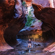 Zion Narrows, Utah, USA