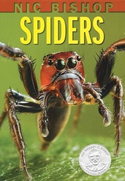 Nic Bishop Spiders (Nic Bishop)