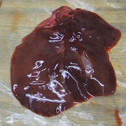 Fox Liver
