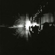 The Vanishing- Still Lifes Are Failing