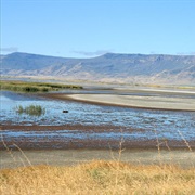 Summer Lake State Wildlife Area, Oregon
