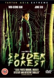 Spider Forest