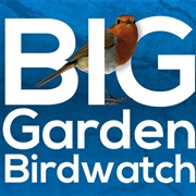 RSPB Bird Count