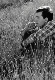 Once Upon a Time There Was a Singing Blackbird