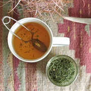 Stiff Greenthread (Thelesperma Filifolium)