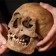 Shrunken Heads of the Amazon