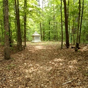 Visit Spot Grandfather Captured at Shiloh