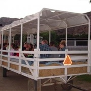 Oma's Pumpkin Patch at Lakeside Van Omering Dairy