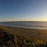 Kalaloch, Washington