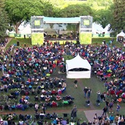 Saskatoon Jazz & Blues Festivals