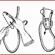 Tie a Bowline