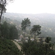 Ranikhet