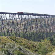 Drive a Freight Train