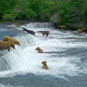 Katmai National Park & Preserve