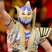 Gran Metalik