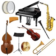 Play Multiple Instruments