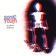 Sonic Youth - NYC Ghosts &amp; Flowers