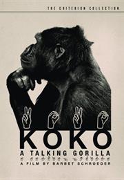 Koko: A Talking Gorilla