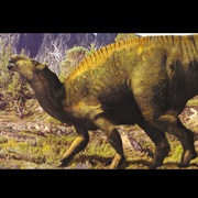 Iguanodon