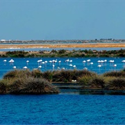 Parque Nacional De Doñana