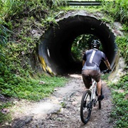 Go Biking at Bukit Timah Mountain Bike Trail
