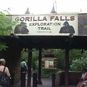 Gorilla Falls Exploration Trail