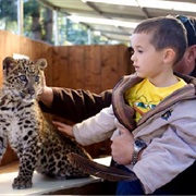 West Coast Game Park Safari, Oregon