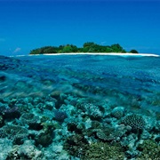 Maldive Coral Reefs