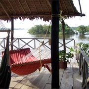 Relaxing in the Jungle at the Orinoco River, Venezuela