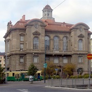 Luonnontieteellinen Museo