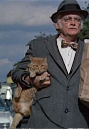 Tonto, Harry and Tonto (1974)