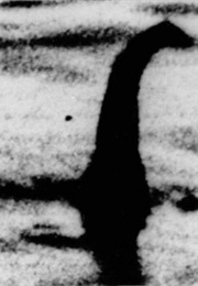 Ness and Nessy (1991)