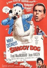 The Shaggy Dog (Charles Barton)