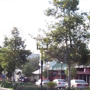 Zephyrhills, Florida