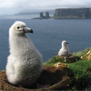Kerguelen, Islands, France