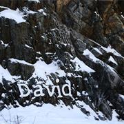 David
