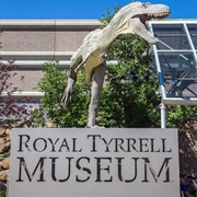 Visit the Royal Tyrell Museum (AB)