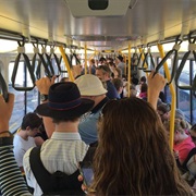 Public Transit Commuter