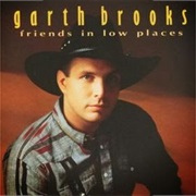 I've Got Friends in Low Places