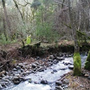Bothe-Napa Valley State Park